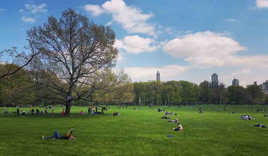 A New Yorker’s Guide to Healing After Infidelity Through Social Media